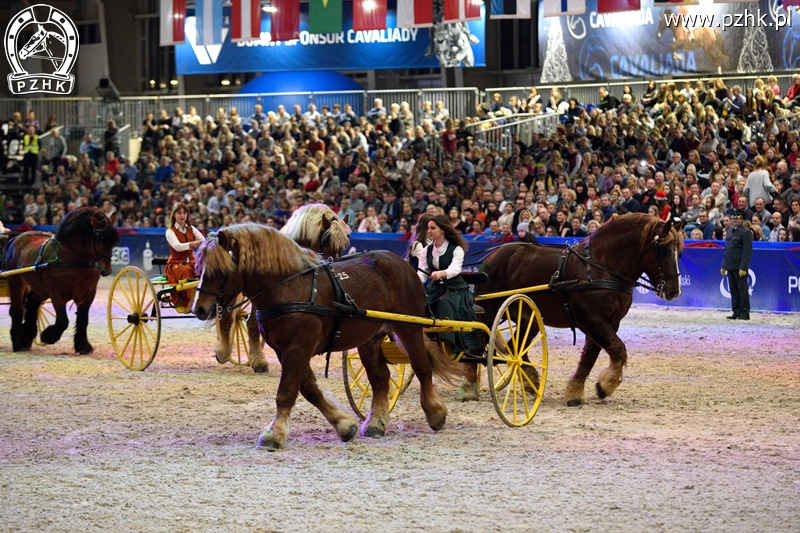 mz_CAVALIADA_Poznan_2017_5662