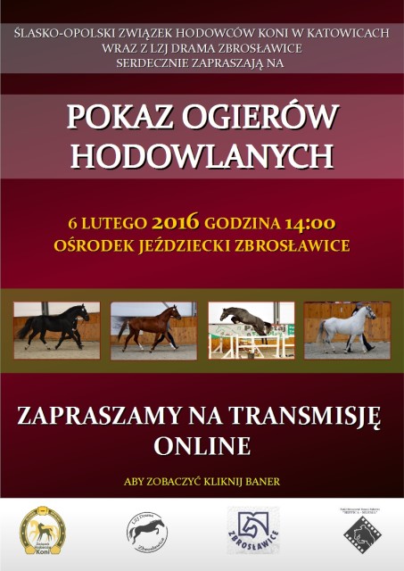 Pokaz ogierów hodowlanych Zbrosławice