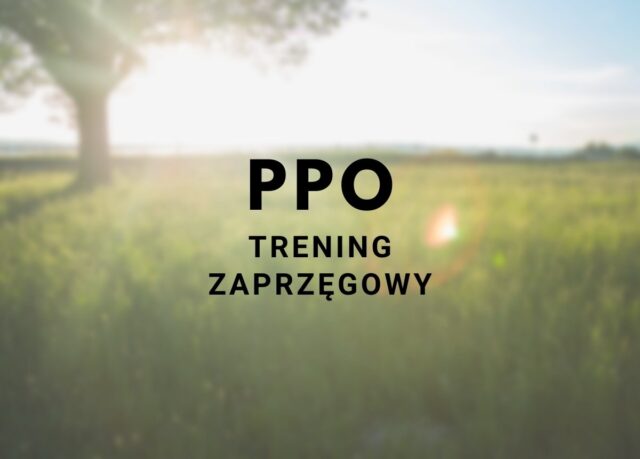 Polowa próba zaprzęgowa – harmonogram