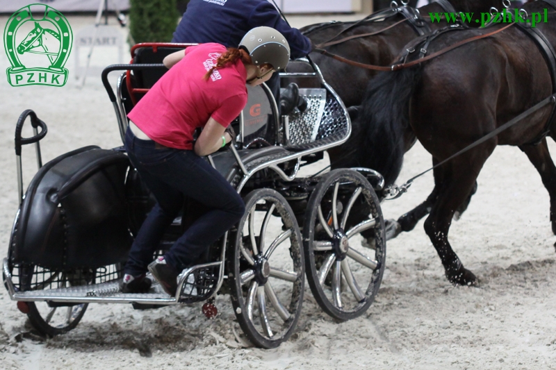 Zaprzęg Sebastiana Bogacza