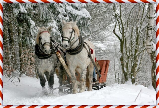 sleigh-ride