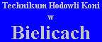 Technikum w Bielicach