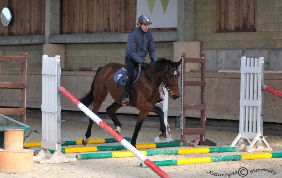 Val Gardena sp, 2017 (Carrera VDL KWPN - Valencia sp / Quasimodo vd Molendreef BWP) i Dangis Rakauskas