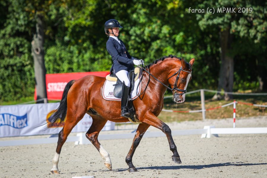 WIZJONER sp - Karolina Markowska