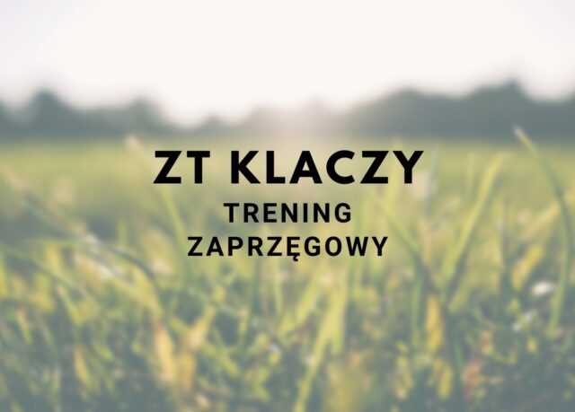 Próba dzielności klaczy w ZT Klikowa (turnus II) + katalog