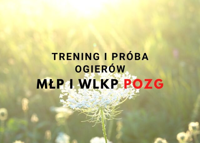 Próba dzielności po stacjonarnym treningu zaprzęgowym ogierów ras małopolskiej i wielkopolskiej spełniających warunki POZG – Klikowa, 6-7 kwietnia 2023 r.