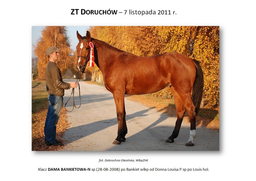 ZT Doruchów - 7 listopada 2011 r.