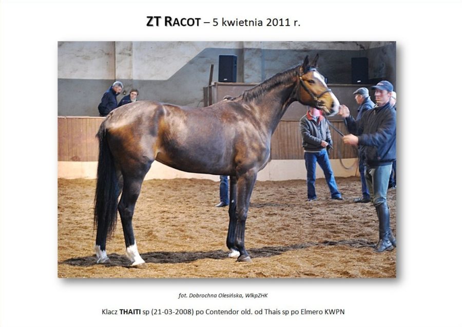ZT Racot - 4 kwietnia 2011 r.