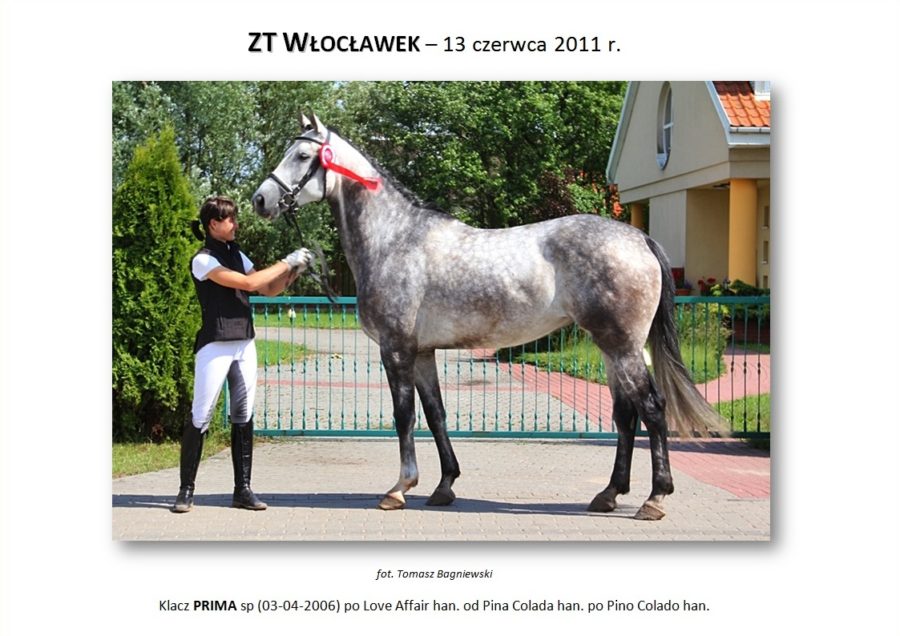 ZT Włocławek - 13 czerwca 2011 r.