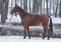 ZT BOGUSŁAWICE – 3 grudnia 2012 r.